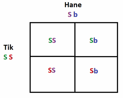 Enkel autosomal nedärvning