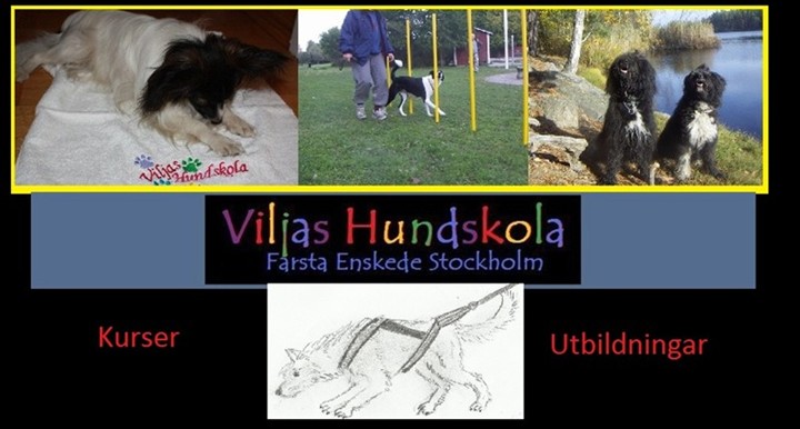 Hundkurser stockholm